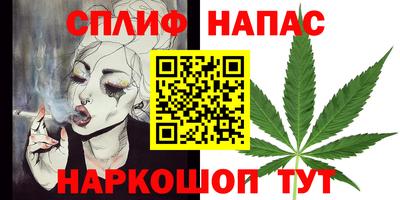 гашик Гусь-Хрустальный