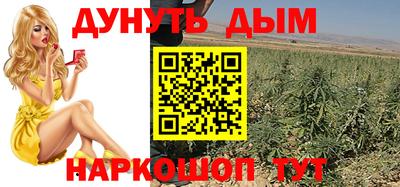 гашик Гусь-Хрустальный