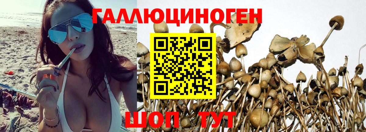 Галлюциногенные грибы прущие грибы Миасс