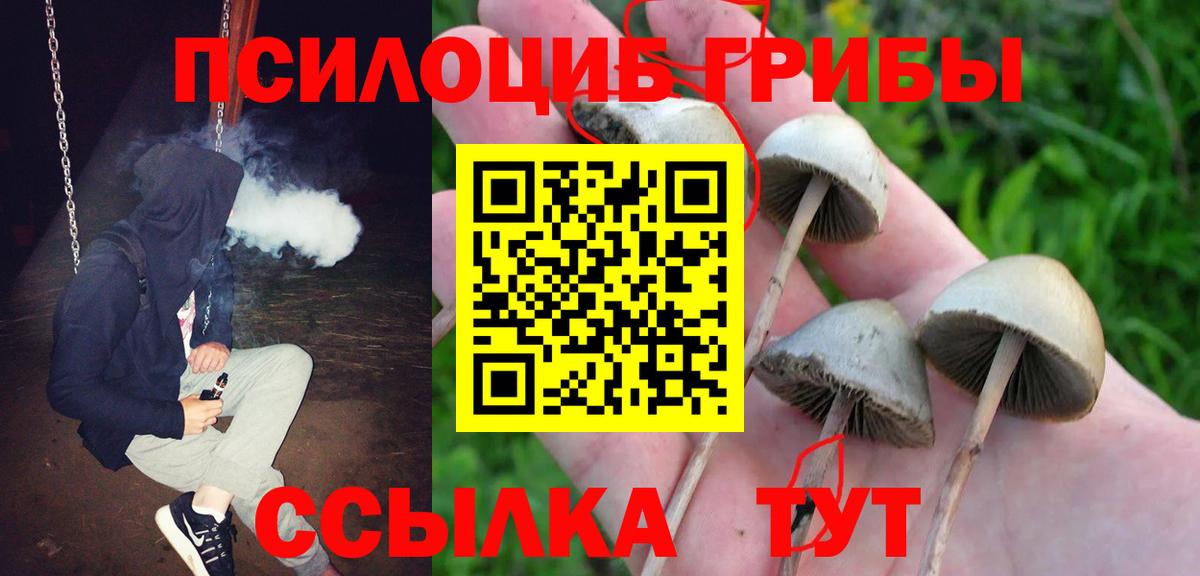 Миасс  Псилоцибиновые грибы ЛСД  Вход с VPN 