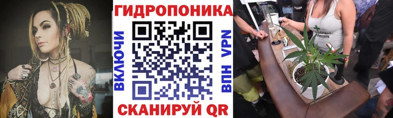 даркнет телеграм  Миасс  Каннабис гибрид  mega зеркало 